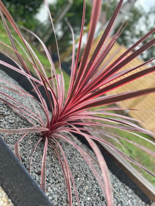 Boulancourt L Etoileヴィラ エクステリア 写真